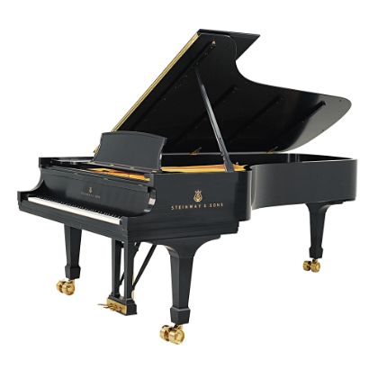 /pianos/steinway-pricing/pianos-pricing/checkout?model=ModelD